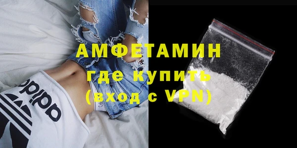молекула духа Пересвет