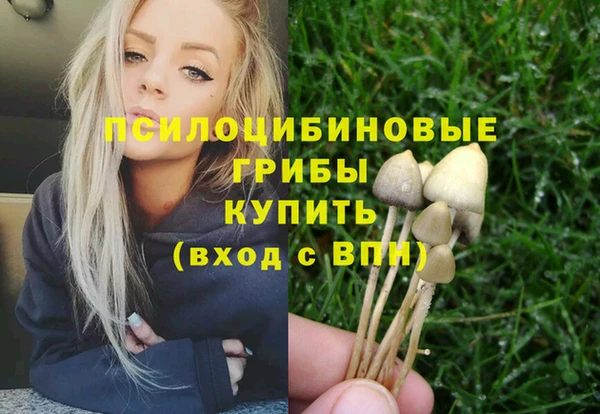 молекула духа Пересвет