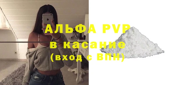 молекула духа Пересвет