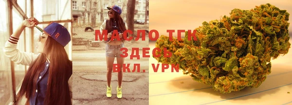 молекула духа Пересвет