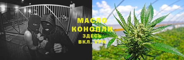 молекула духа Пересвет