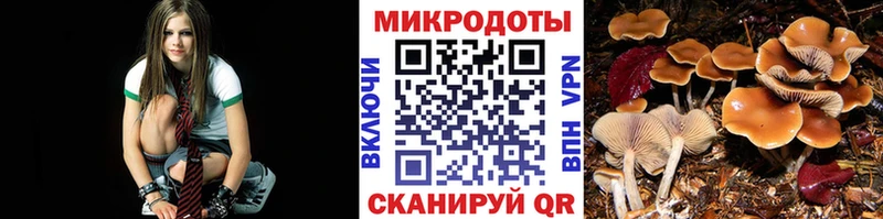 Галлюциногенные грибы MAGIC MUSHROOMS  купить   Шарыпово 